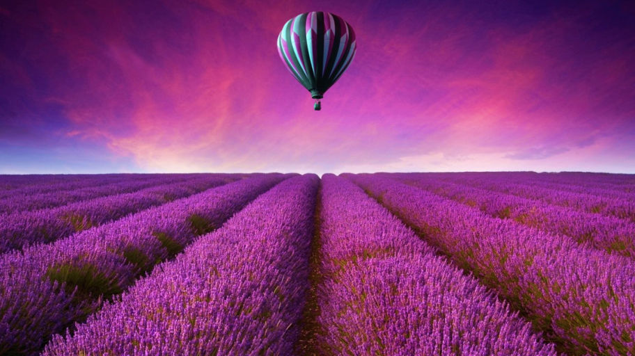 Новая Голландия